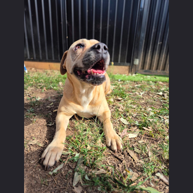 Photo of Charlie Bear