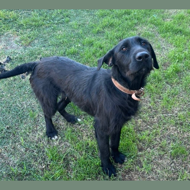 Photo of Macy