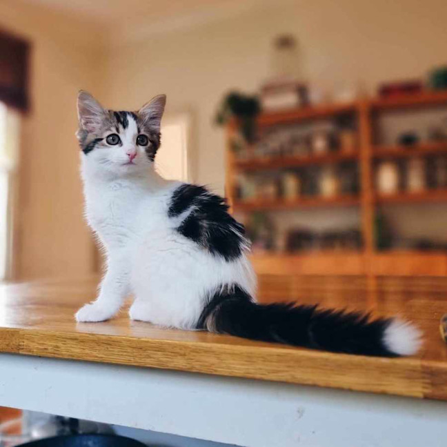 Photo of Nadja   Located In Coburg