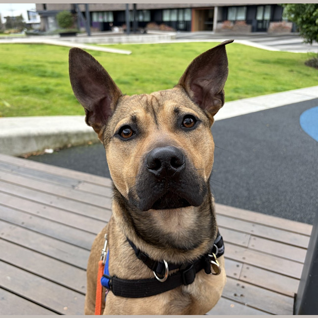 Photo of Bruce