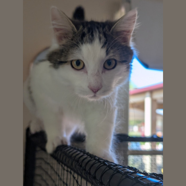 Photo of Jeffrey
