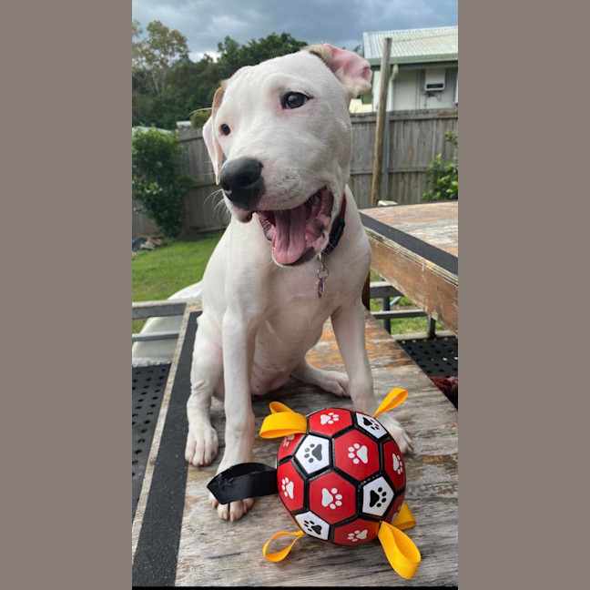 Photo of Kaida