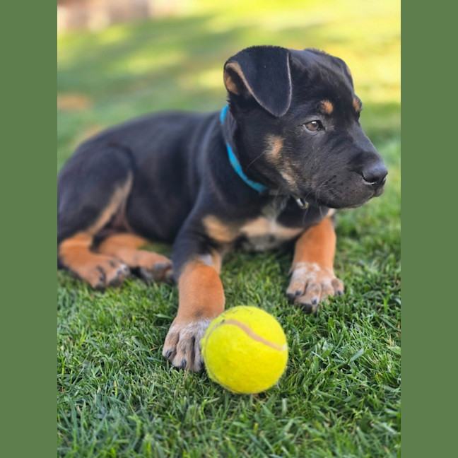 Photo of Hugo