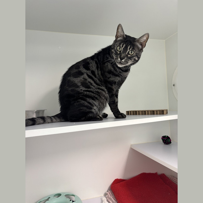 Photo of Clawdia
