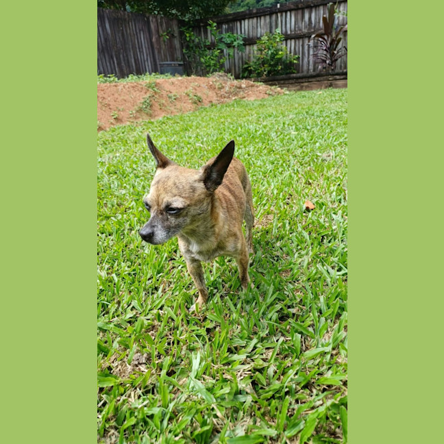 Photo of Milly 