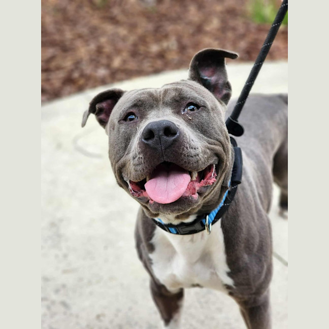 Photo of 🎡 Jaffa 6608 🎡