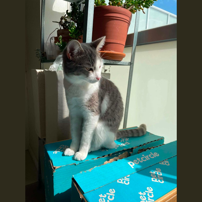Photo of Shine