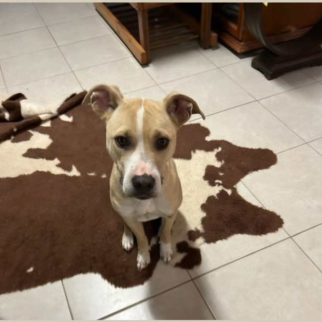 Photo of Lilly