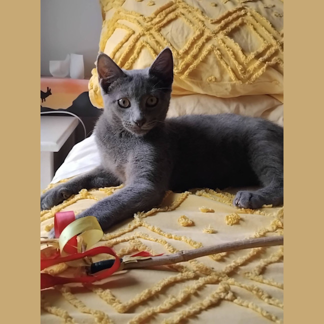 Photo of Frodo