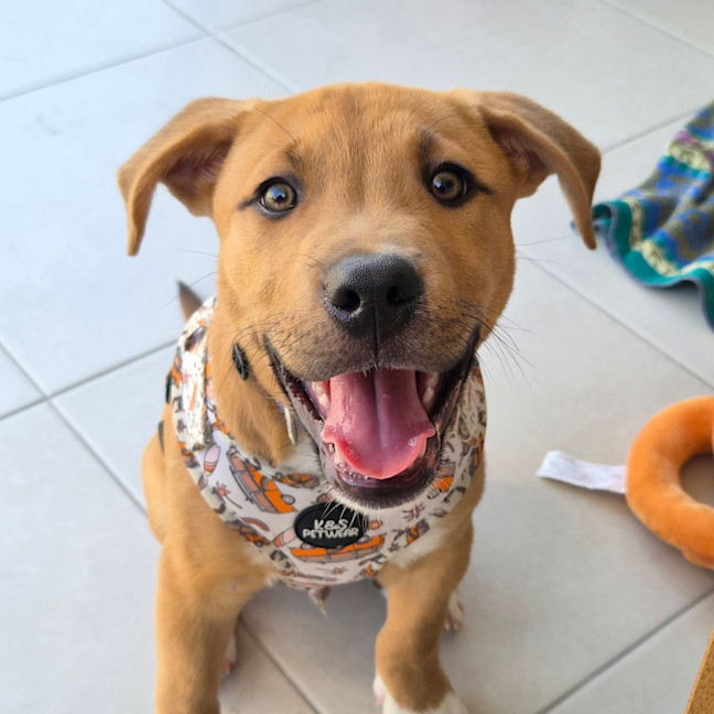 Photo of Murphy