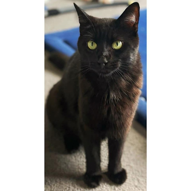 Photo of 11347   Ruth