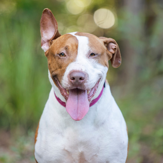 Photo of Rockin' Roxy