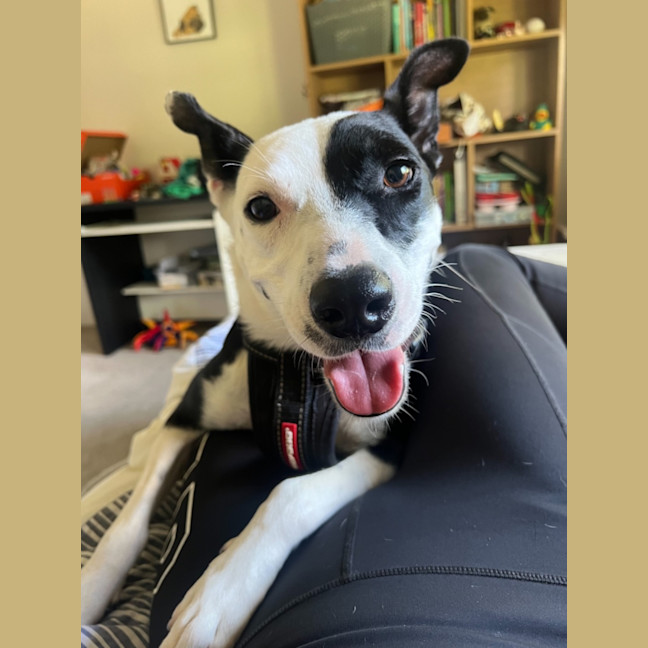 Photo of Macy