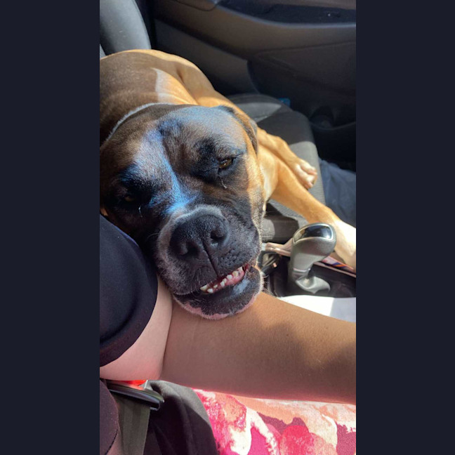 Photo of Bella 