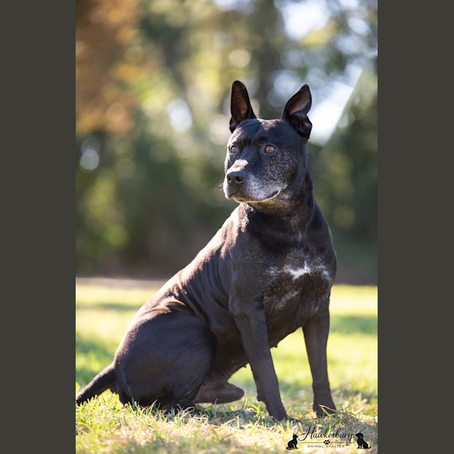 Photo of Diego