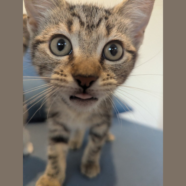 Photo of Lucia Scotty