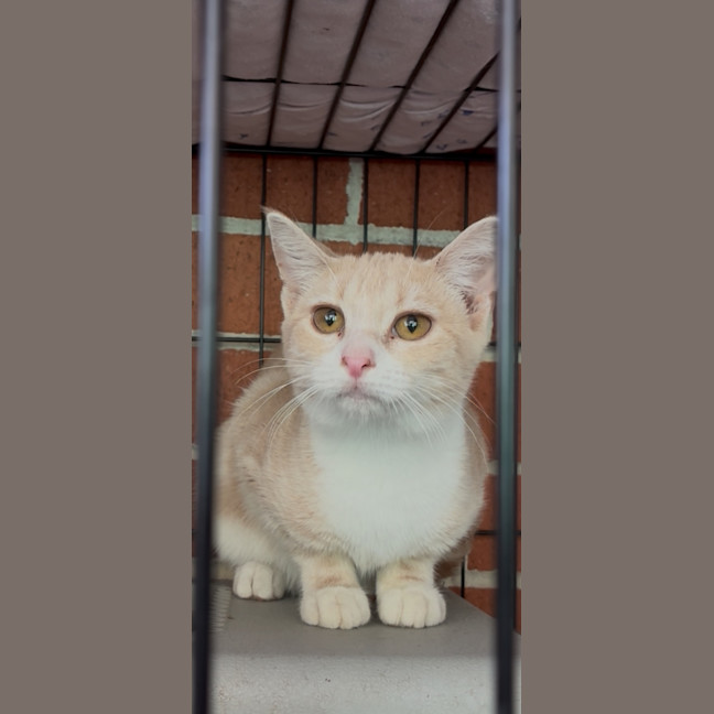 Photo of Razzmatazz 