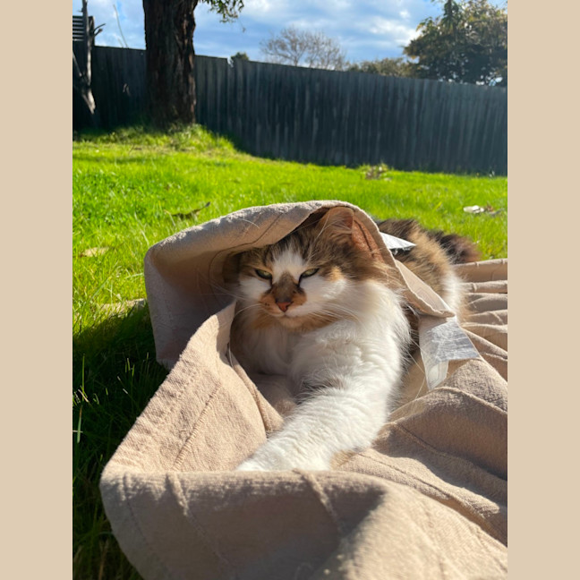 Photo of Hazel