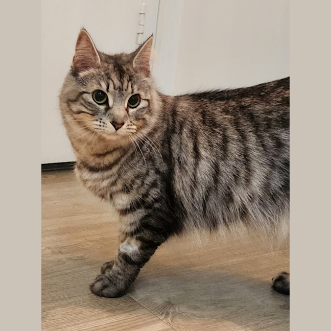 Photo of Sylvia