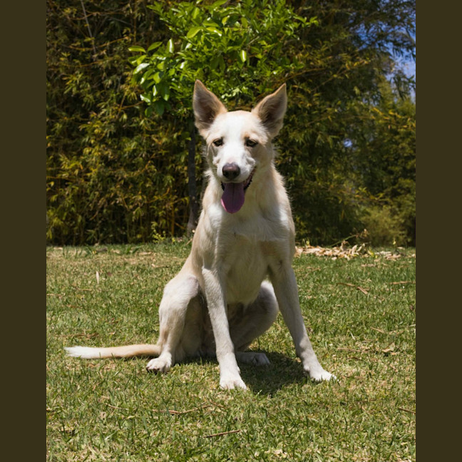Photo of Winnie 