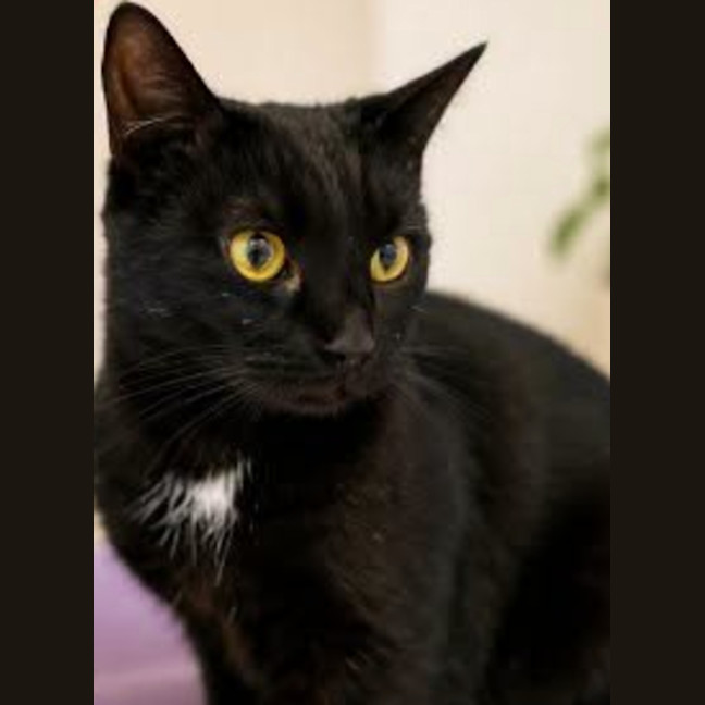 Photo of Zoe