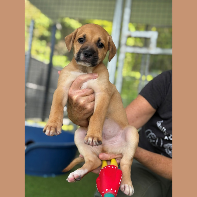 Photo of D1205 Miles