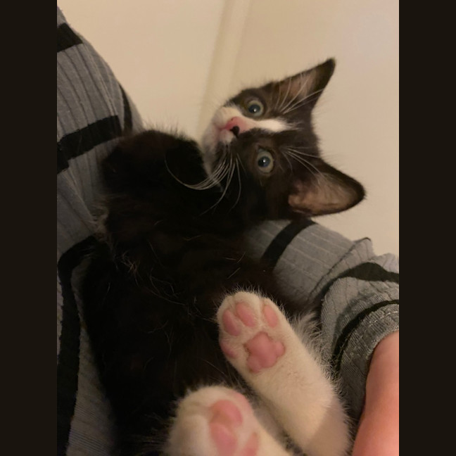 Photo of Miruku (Was Rice Bubble)