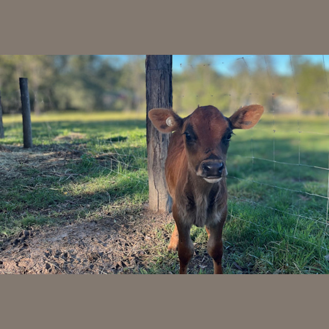Photo of Reggie