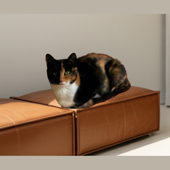 Photo of Mae