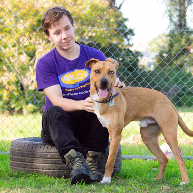 Photo of Huxley