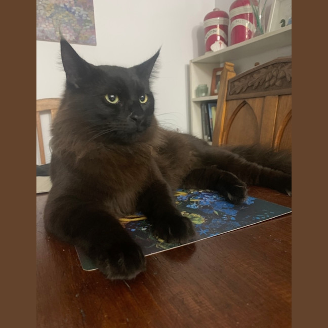 Photo of Puff
