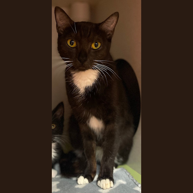 Photo of Helga
