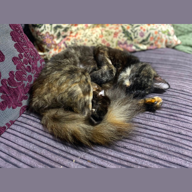 Photo of Heidi  🥰