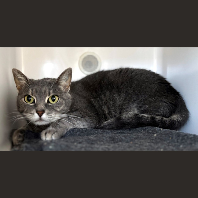 Photo of Frida Sua013457