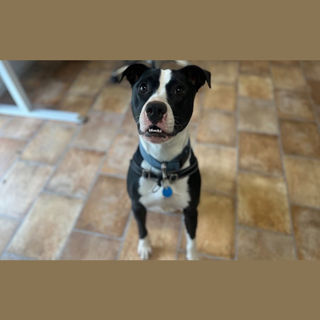 Photo of Jack