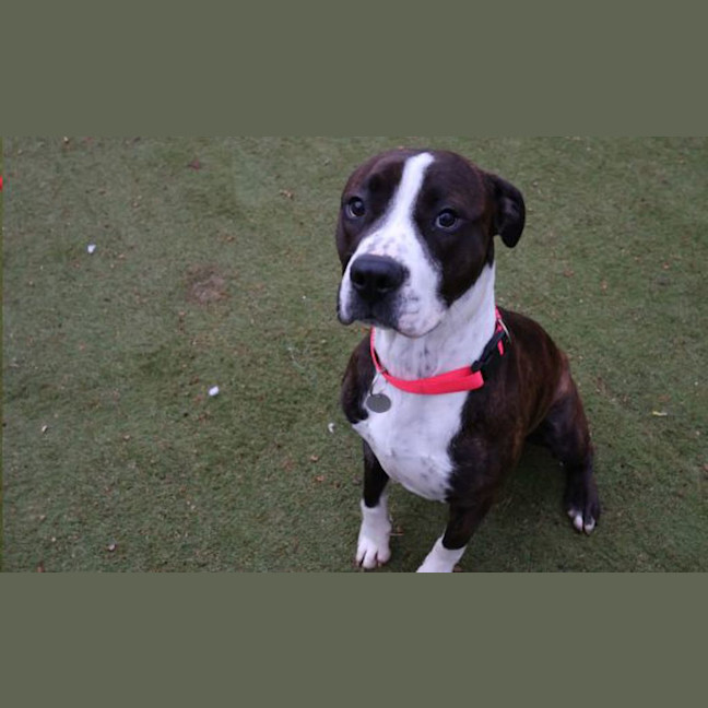 Photo of Gus
