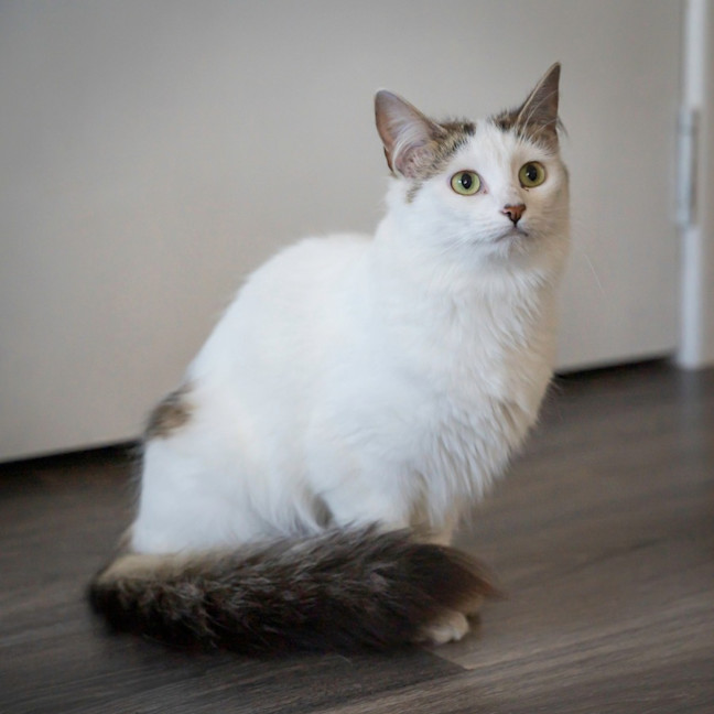 Photo of Lilly