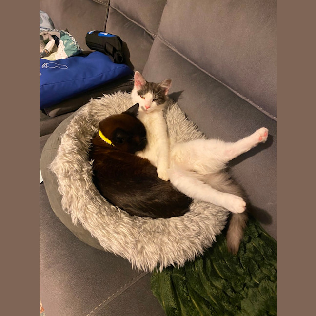 Photo of Aspen
