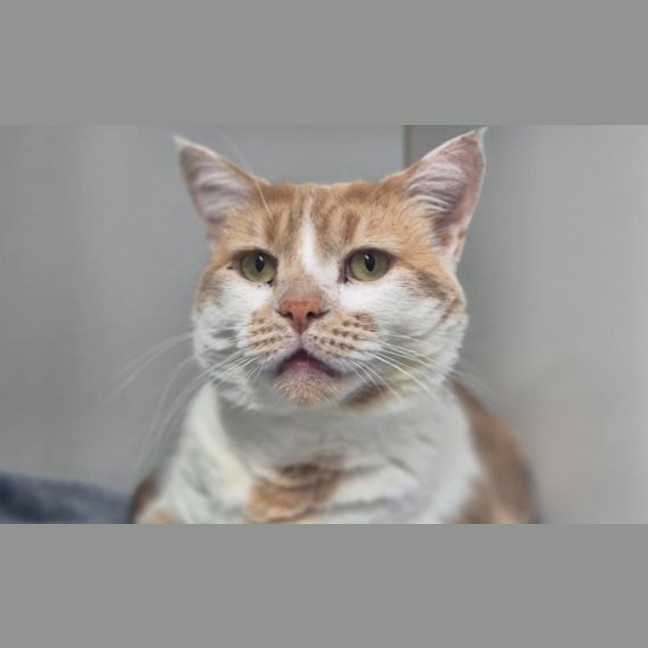 Photo of Morty