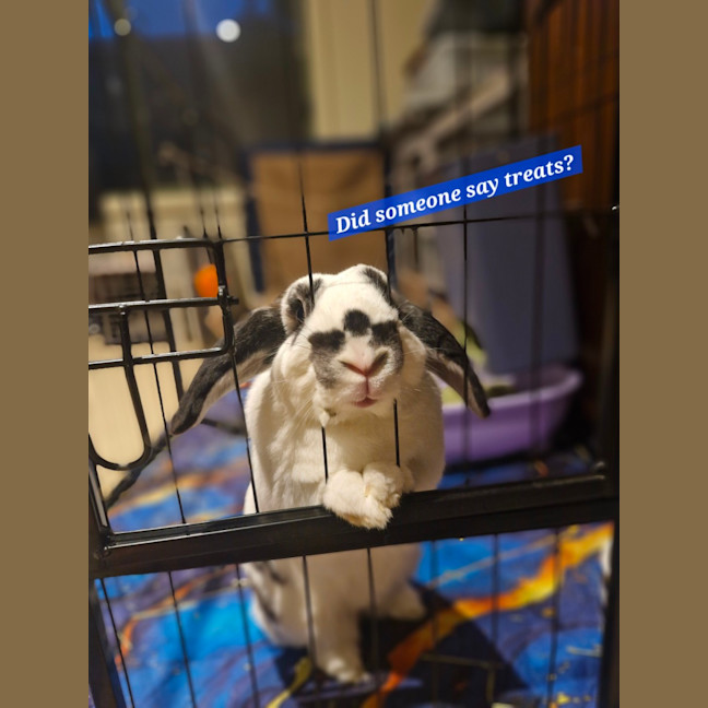Photo of Con