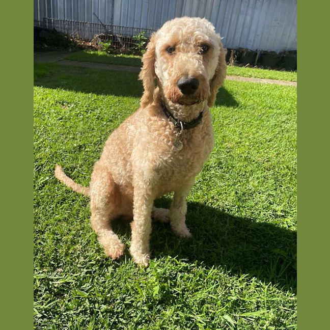 Photo of Murphy