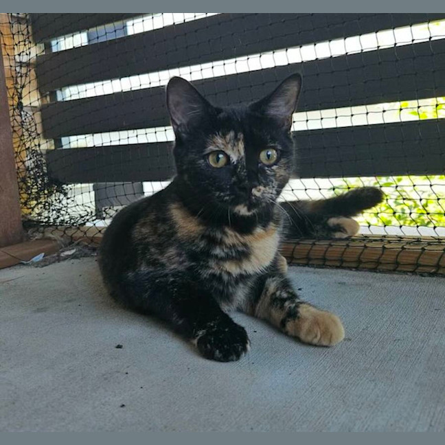 Photo of Doris