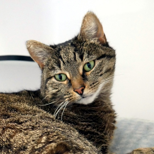 Photo of Lola Sua015684