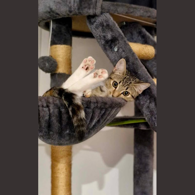Photo of Miah