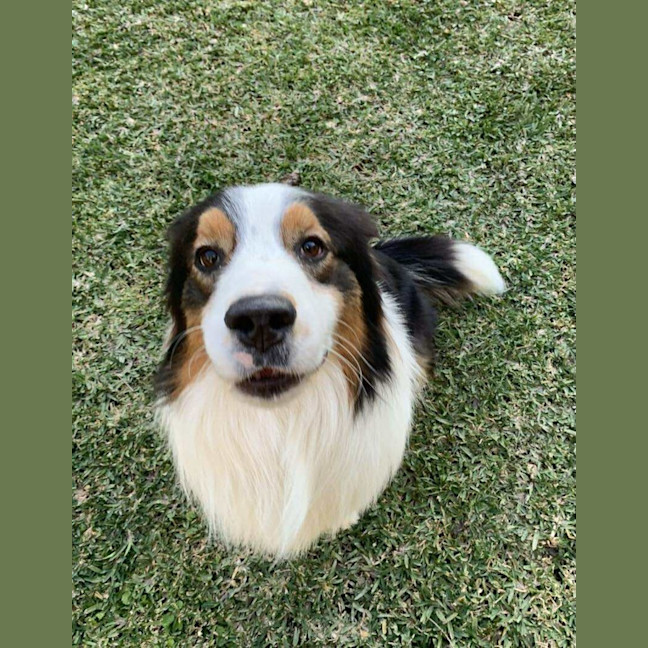 Photo of Remy