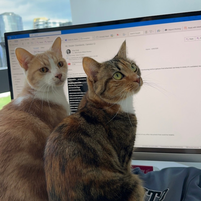 Photo of Nala & Bowie