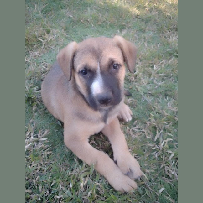 Photo of Joe Goldberg