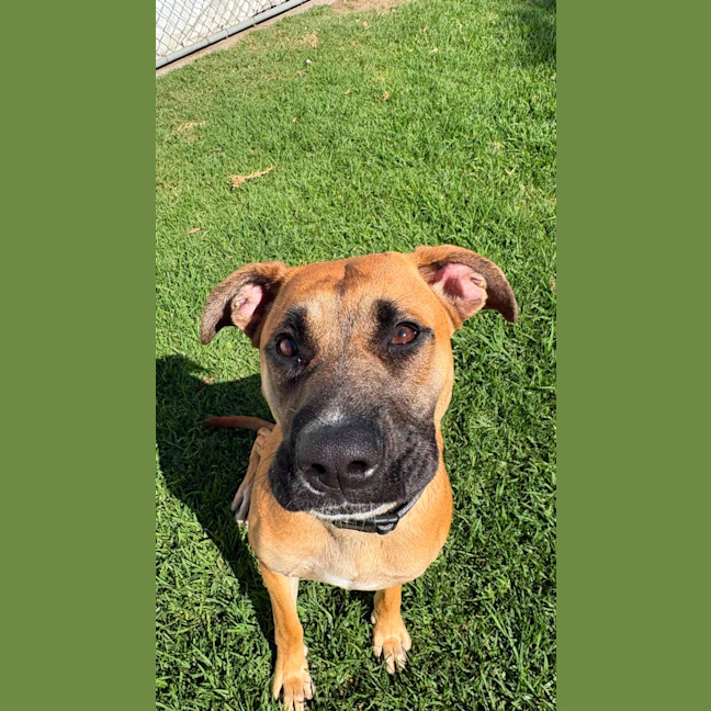 Photo of Gertie