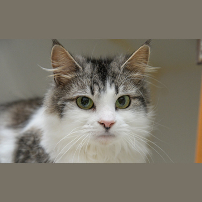 Photo of Miss Baby