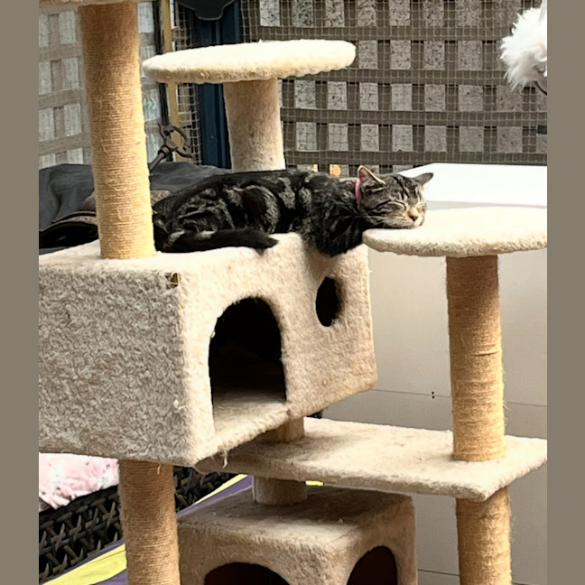 Photo of Delilah & Elfie